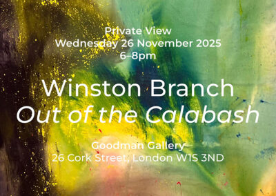 Goodman Gallery Private View 26112025